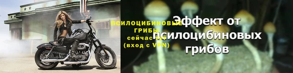 мдпв Весьегонск