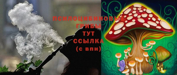амф Остров