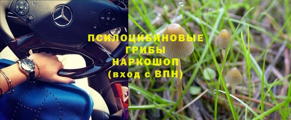 a pvp Осинники
