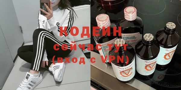 мдпв Весьегонск