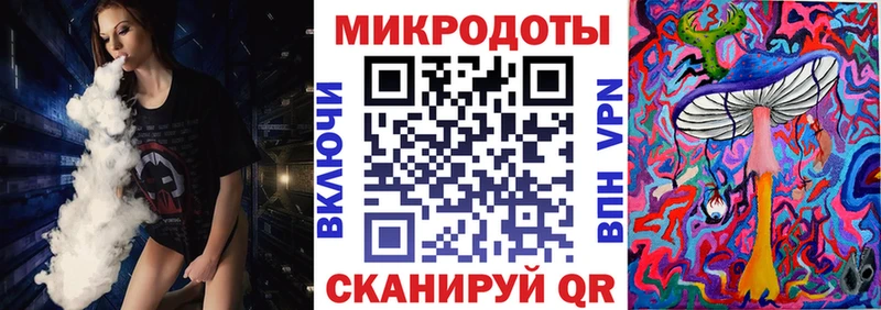 Псилоцибиновые грибы мицелий что такое блэк спрут маркетплейс Холм
