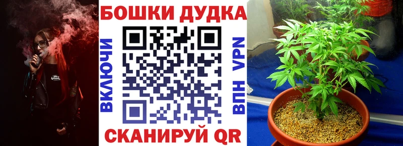 Шишки марихуана индика  где продают   Холм 